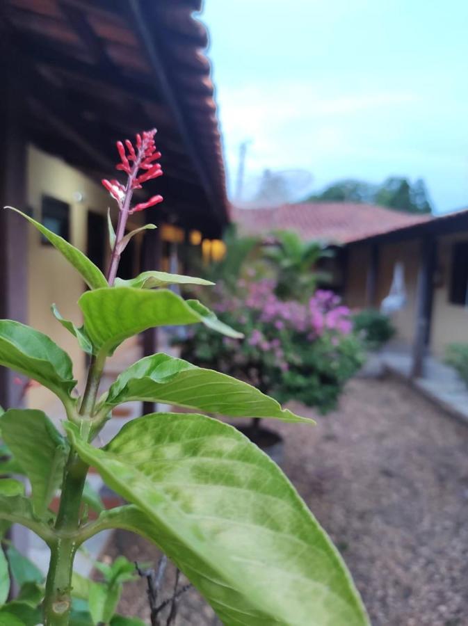 Pousada Boa Vista Brotas Dış mekan fotoğraf